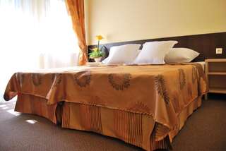 Отель Hotel Eljot Сельпя-Велька Двухместный номер с 1 кроватью или 2 отдельными кроватями-7